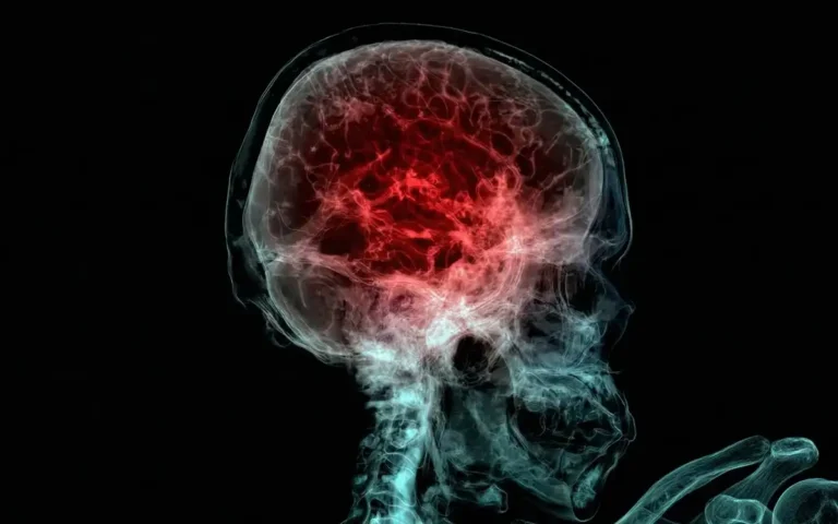 Descubrimiento de microplásticos en el cerebro humano: ¿Cómo afecta nuestra salud?