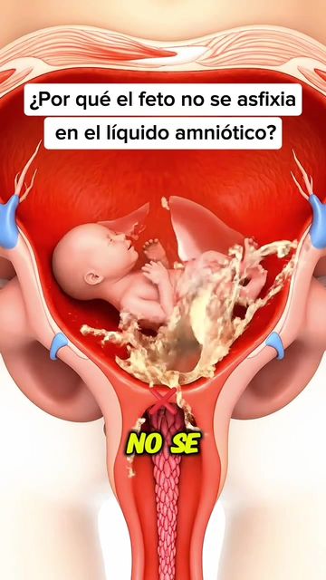 El misterio de la respiración fetal: un fenómeno intrigante