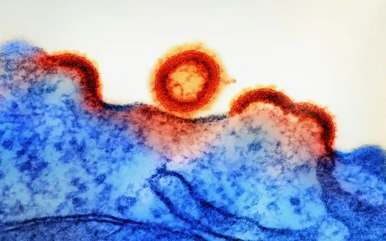 El Poder Oculto para Erradicar el VIH en el Organismo: Último Logro Científico