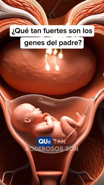 Los Secretos Genéticos del Padre: ¿Cuánto Inciden en Nuestra Salud?