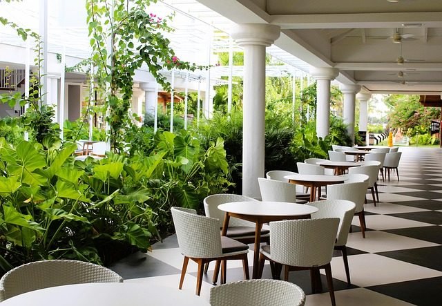 Interés creciente de Europa por Punta Cana: ¿qué buscan los turistas en 2026?