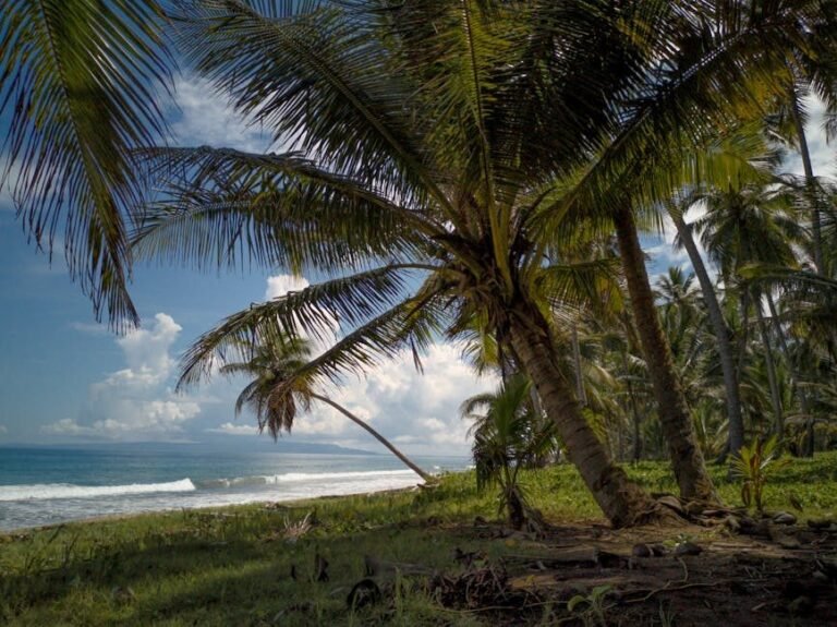 Cómo llegar a las playas de Miches desde Peravia