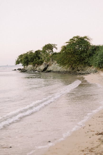 Atractivo de Punta Cana para turistas europeos