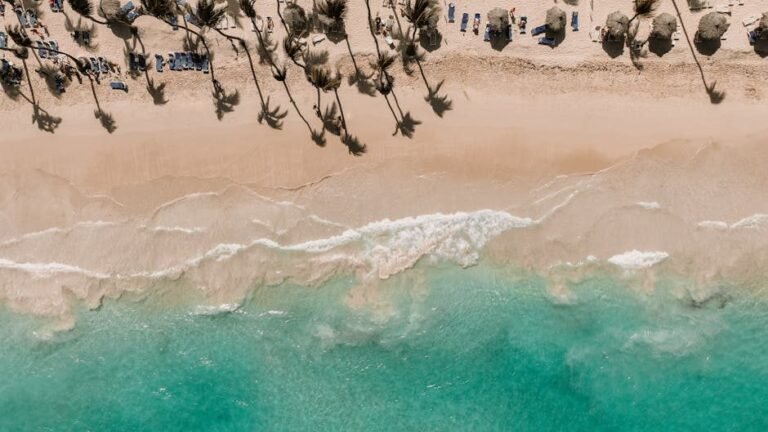 10 experiencias únicas para disfrutar en Punta Cana en 2026