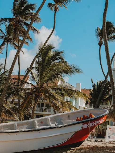 10 actividades sorprendentes para hacer en Punta Cana en 2026