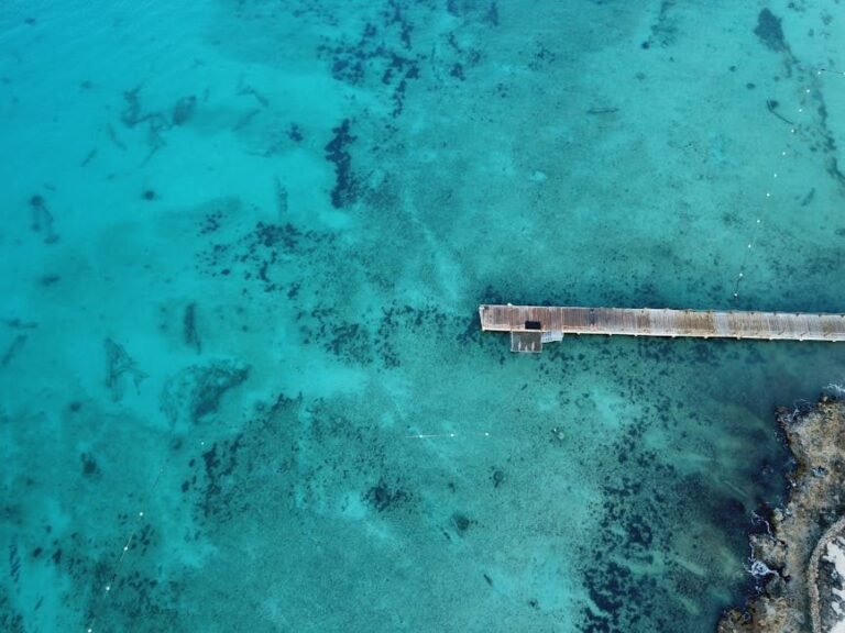 Cómo llegar a Pedernales y Bahía Águilas desde Santo Domingo