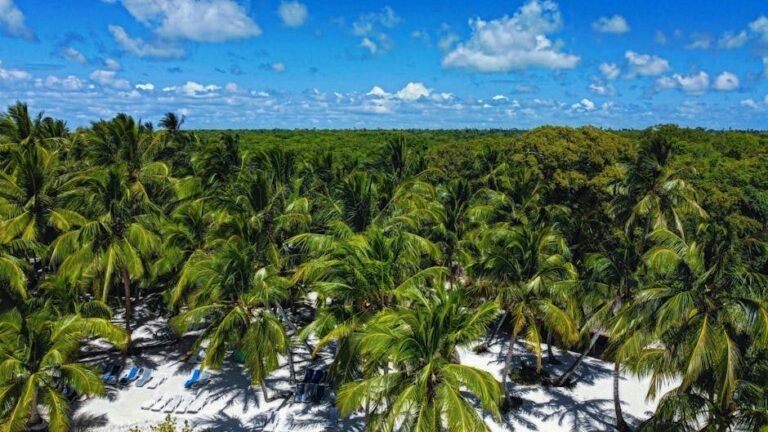 Cómo llegar a Barahona para disfrutar del ecoturismo en el sur