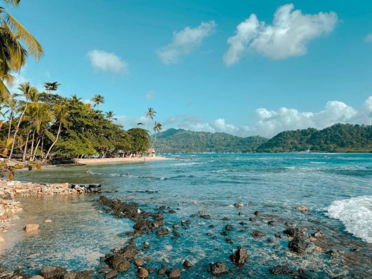 Samaná en 2026: actividades esenciales para disfrutar del turismo