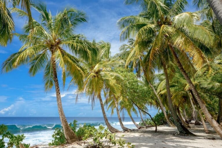 Aventura y Relax: 12 cosas únicas que hacer en Punta Cana en 2026