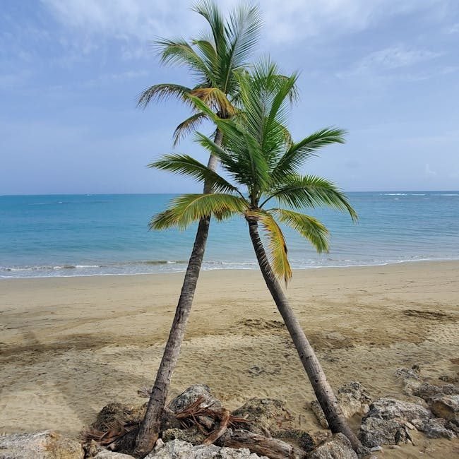 ¿Por qué el turismo en República Dominicana es tu mejor opción en 2026?