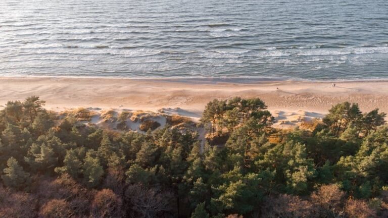 Interés creciente de turistas europeos por la costa norte de RD