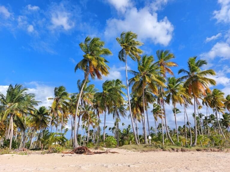 ¿Por qué un viaje a República Dominicana es tu mejor decisión en 2026?