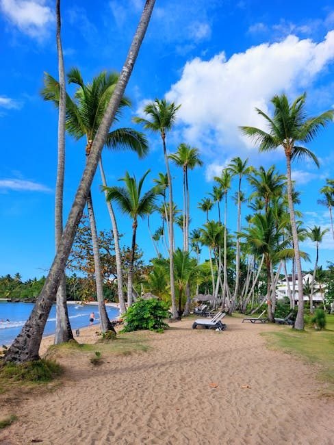 Samaná: el destino turístico que redefine el Caribe en 2026