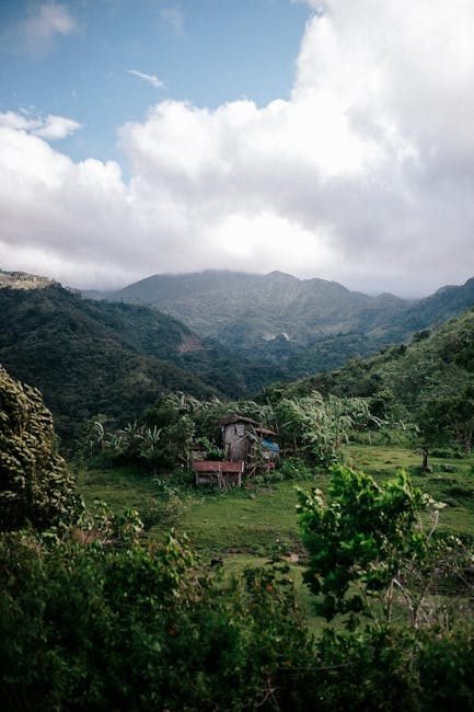 Moca, un destino atractivo para turistas europeos