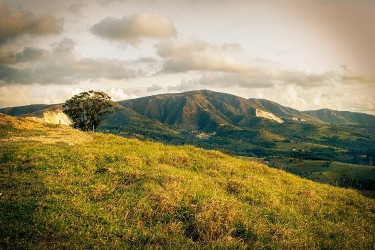 ¿Por qué Moca atrae las miradas de turistas canadienses y estadounidenses?