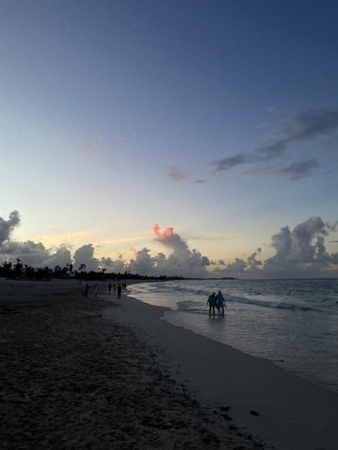 Interés actual de los alemanes por Punta Cana: tendencias y consultas