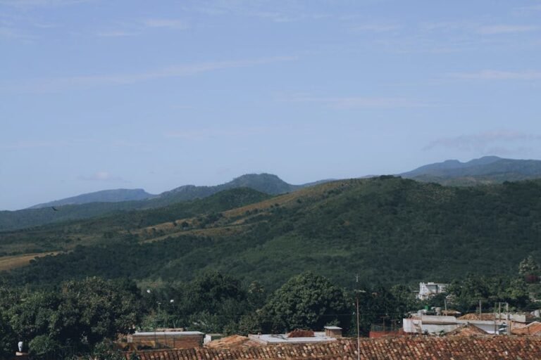 Interés por Moca: ¿Qué buscan los viajeros de EE. UU. y Canadá?