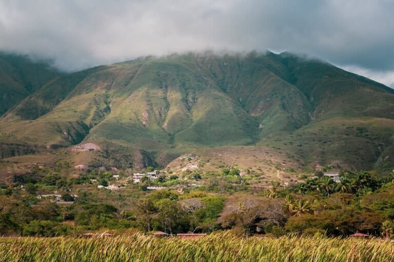 Moca: La creciente búsqueda de turismo en Canadá y EE.UU.