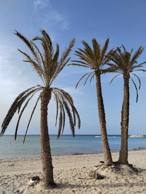 Samaná: el destino turístico que está transformando el Caribe 2026