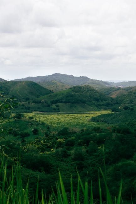 Cómo llegar a Azua y explorar sus paisajes fríos en 2026