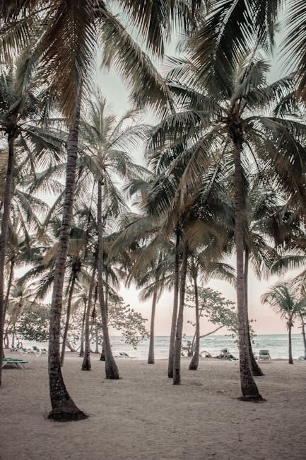 Top 10 Destinos Imperdibles para el Turismo en República Dominicana 2026