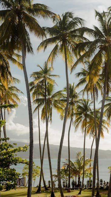 Samaná: el paraíso oculto del turismo en República Dominicana