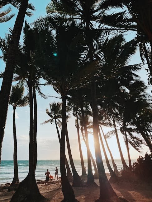 Las tendencias de turismo en República Dominicana para 2026