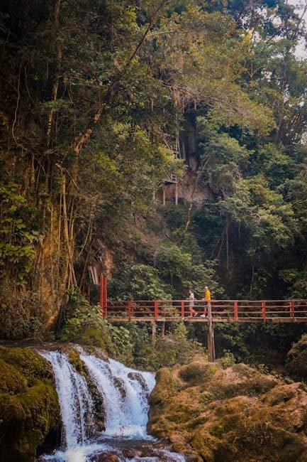 Interés creciente en Moca: ¿Qué buscan los viajeros de EE.UU. y Canadá?