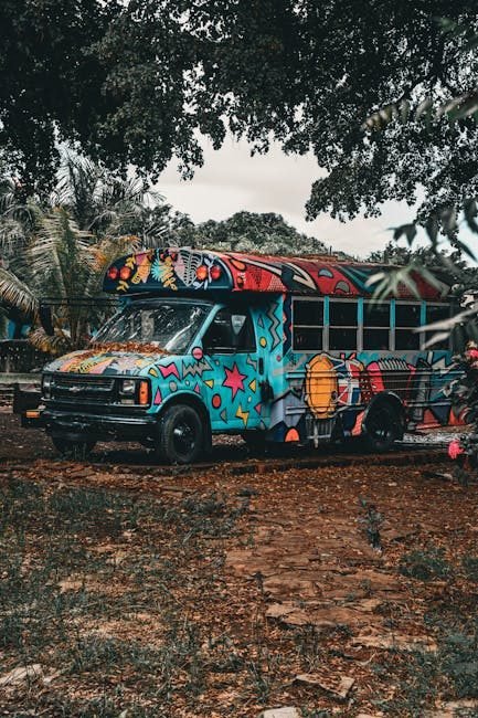 Interés creciente en Moca: ¿Qué buscan los viajeros de EE. UU. y Canadá?