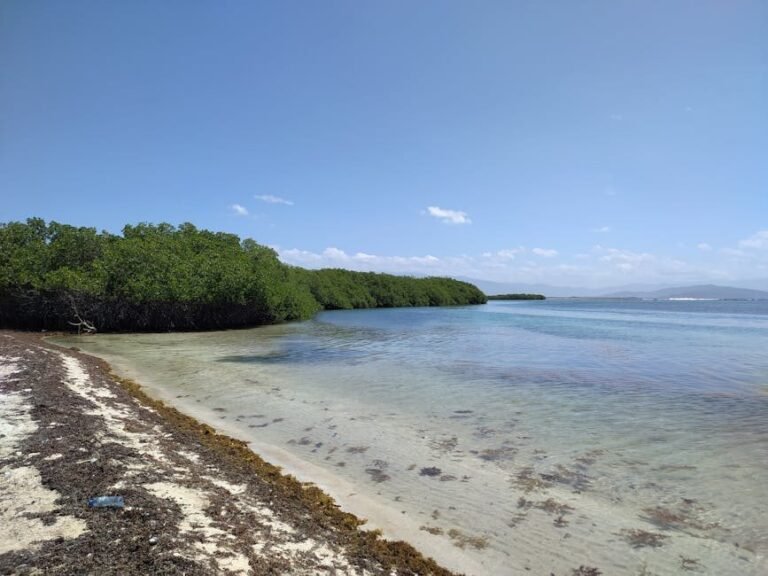 ¿Por qué el turismo responsable es esencial en República Dominicana 2026?