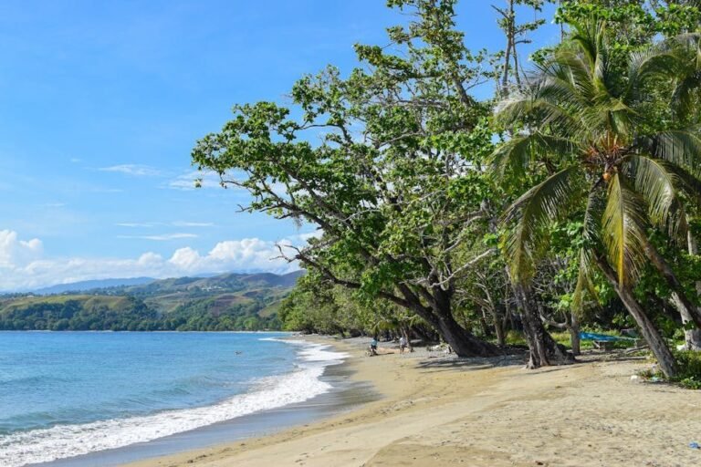 Samaná en 2026: el destino turístico que sorprende a todos