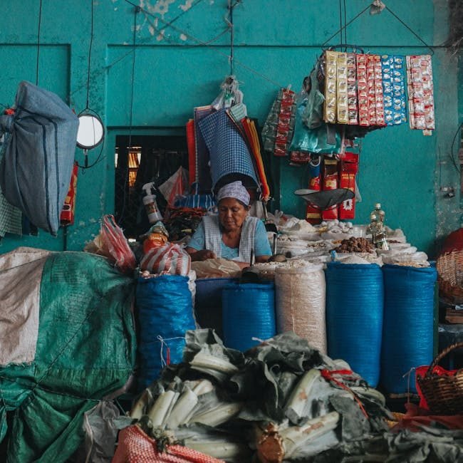 Cómo llegar a Nagua, un destino cultural en María Trinidad Sánchez