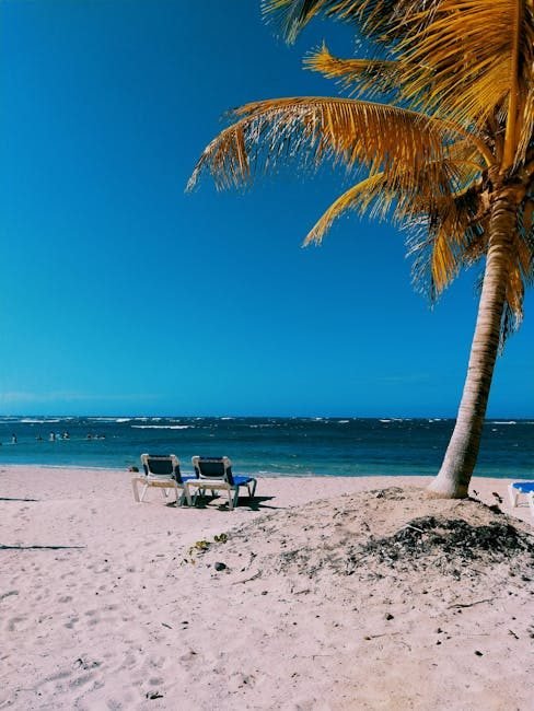 Samaná en 2026: Un Destino Esencial para los Amantes del Turismo