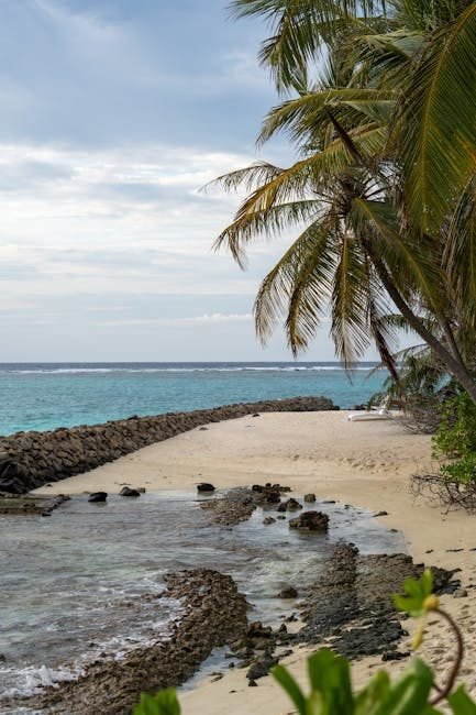 8 Experiencias Únicas para Hacer en Punta Cana en 2026