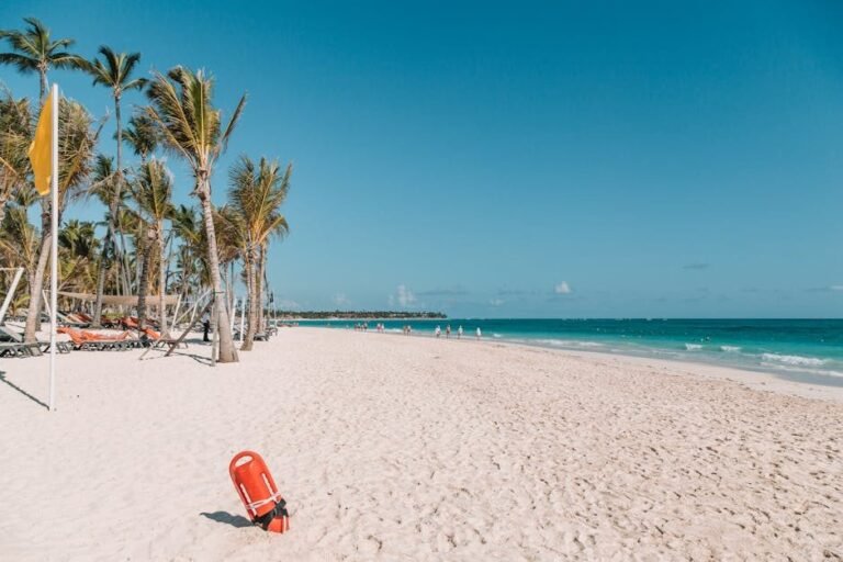 10 experiencias únicas para disfrutar en Punta Cana en 2026