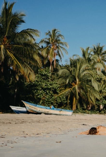 Samaná: El Destino Esencial para el Turismo en República Dominicana en 2026