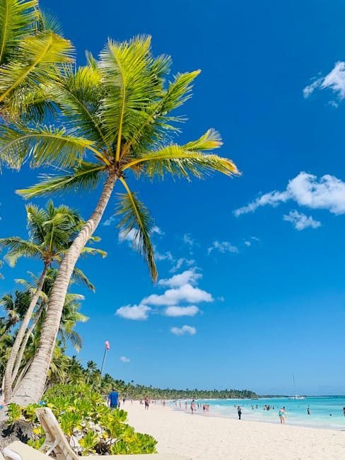 ¿Cuándo Viajar a República Dominicana en 2026? Temporadas Altas y Consejos