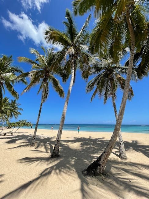 Samaná en 2026: Un Destino Turístico que Transforma Vidas