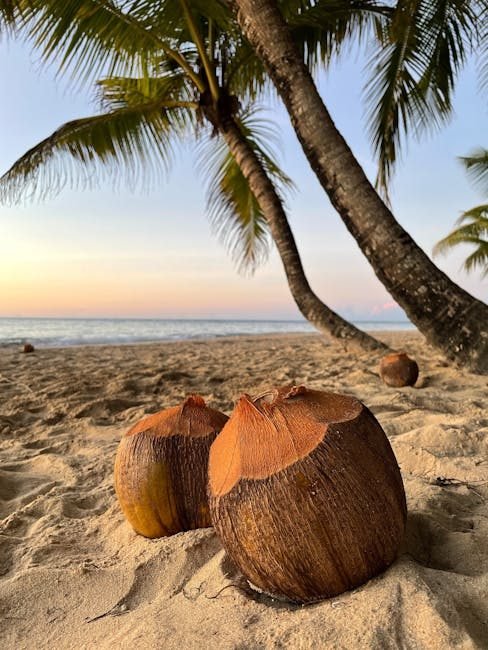 Samaná en 2026: Actividades y secretos del turismo en la región