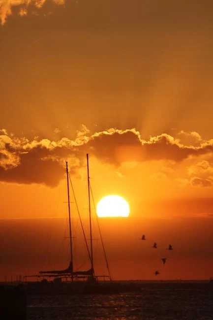 Búsquedas en EE.UU. y Canadá reflejan interés en RD