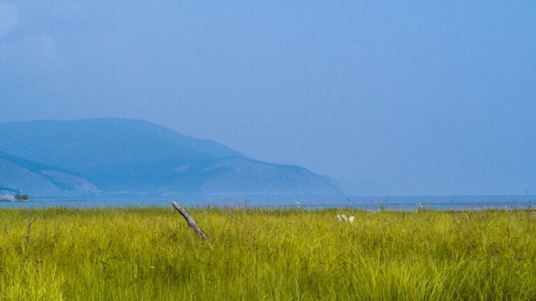 Cómo llegar a Neiba y Lago Enriquillo desde Santo Domingo en 2026