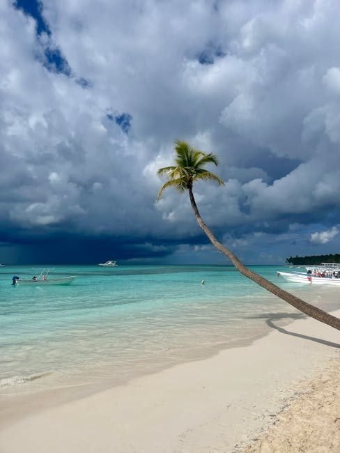 10 experiencias imperdibles en Punta Cana 2026