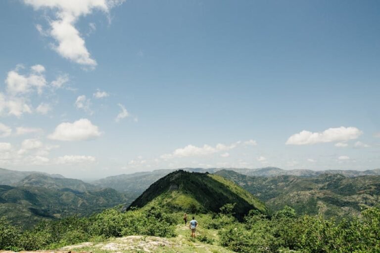 Tendencias de búsqueda de viajeros en Moca