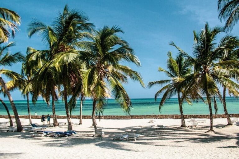 Samaná 2026: Un paraíso para el turismo sostenible y cultural