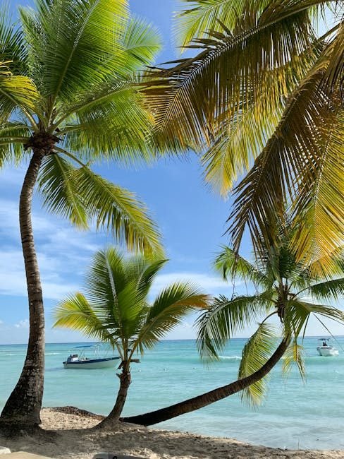 10 Razones por las que el Turismo en República Dominicana es Único en 2026