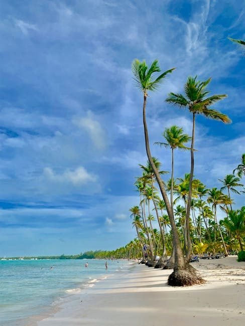 10 actividades imperdibles en Punta Cana para disfrutar en 2026