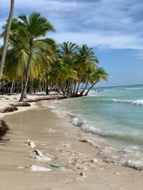 Samaná en 2026: Un Refugio Turístico en el Caribe Dominicano