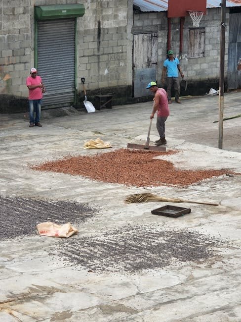 Creciente interés en el cacao y café del Cibao