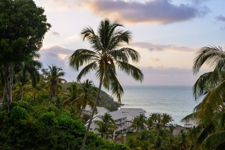 Samaná turismo: descubre este paraíso dominicano