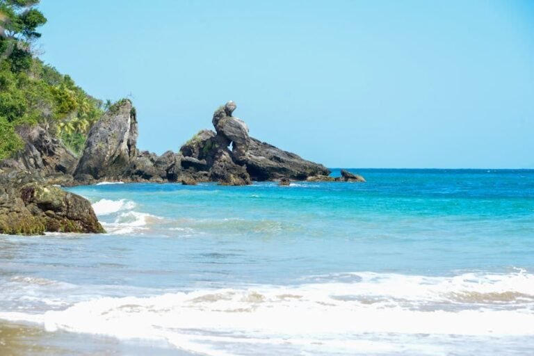 Samaná en 2026: Un refugio natural para los amantes del turismo